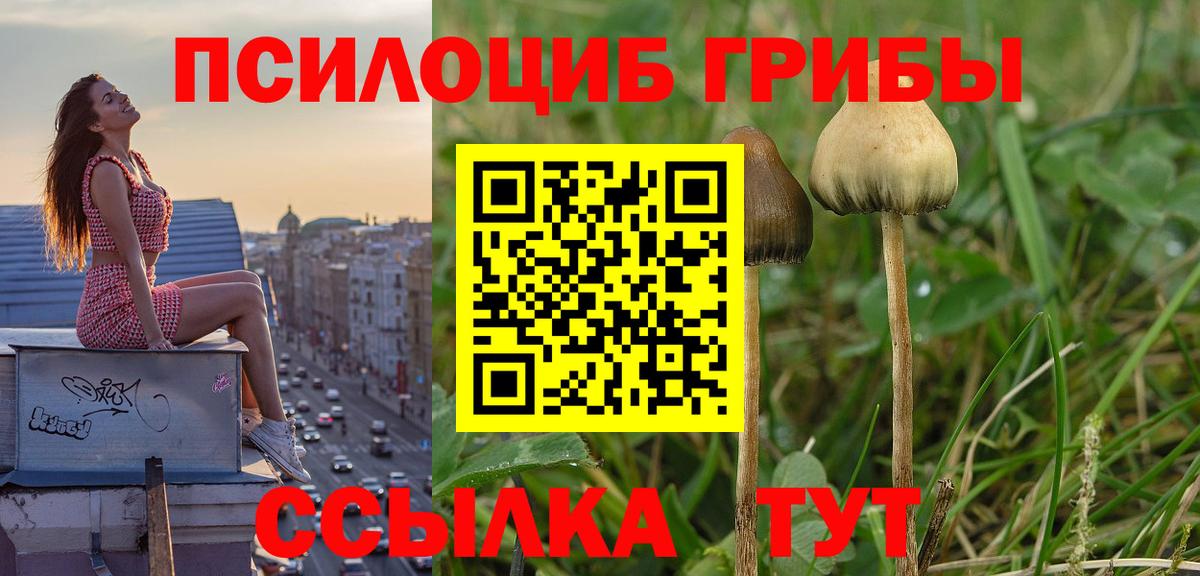 Коркино  Галлюциногенные грибы мицелий  купить наркотик  Вход с VPN 