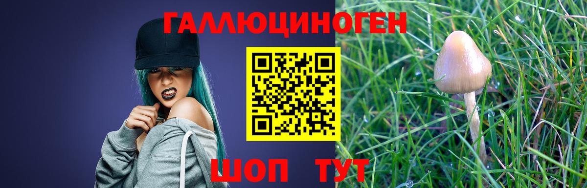 Галлюциногенные грибы прущие грибы Коркино